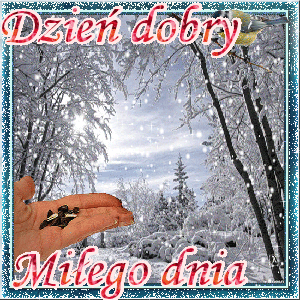 Dzień dobry sikorka je z dłoni